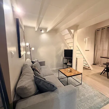 公寓 Le Cosy D'ayna 里昂